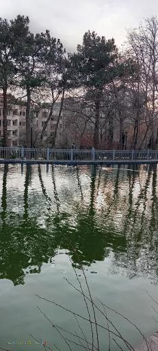 عکس استخر پارک رسالت