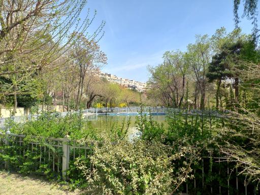 عکس استخر پارک رسالت