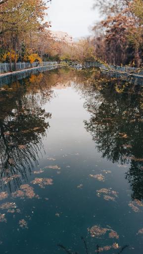 عکس استخر پارک رسالت