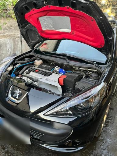 عکس موسیو پژو