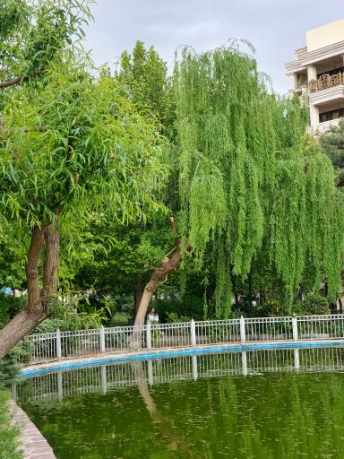 عکس استخر پارک رسالت