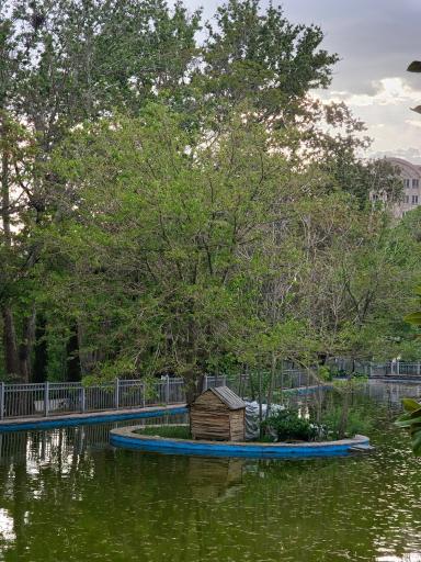 عکس استخر پارک رسالت