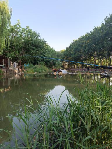 عکس پارک پرنس