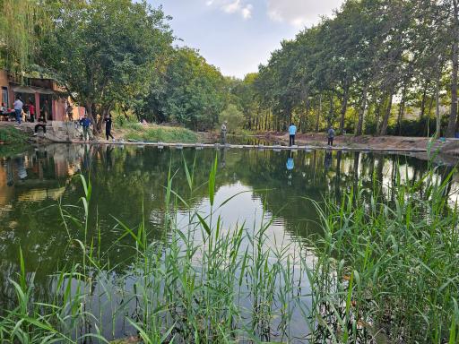 عکس پارک پرنس