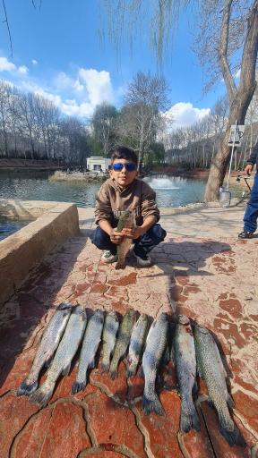 عکس پارک پرنس