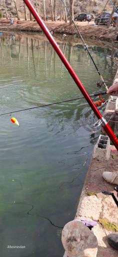 عکس پارک پرنس