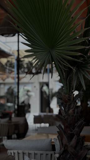 عکس کافه رستوران باهارات