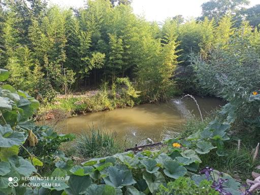 عکس بومگردی چیلاس