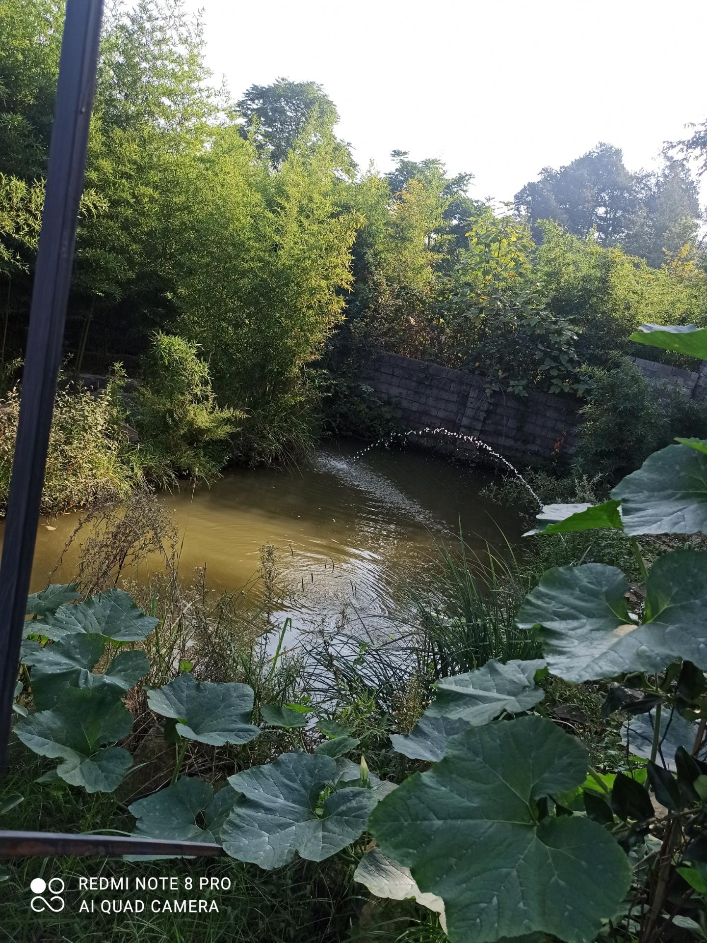 عکس بومگردی چیلاس