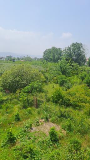 عکس میانکوه محله