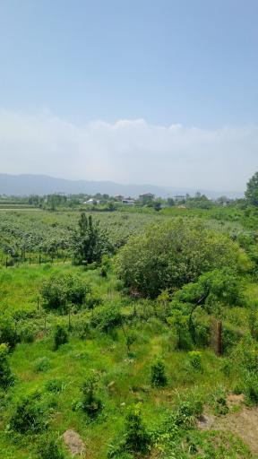 عکس میانکوه محله