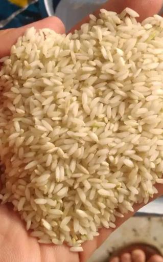 عکس کارخانه برنج کوبی یاسر