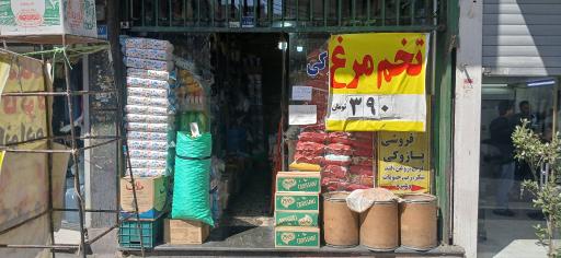 عکس مواد غذايى پازوكى
