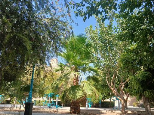 عکس بوستان جوان