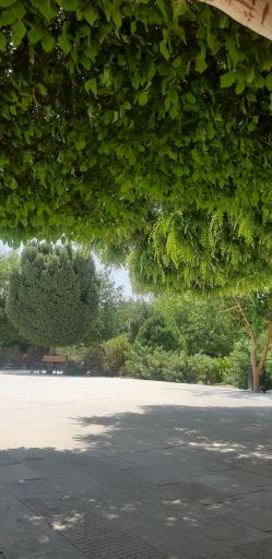 عکس بوستان جوان