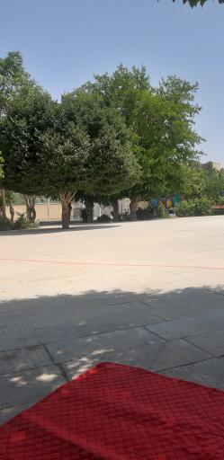 عکس بوستان جوان