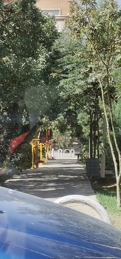 عکس پارک امین