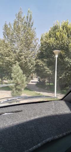 عکس پارک امین