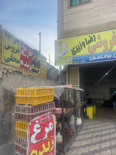 عکس مرغ فروشی وزیری 