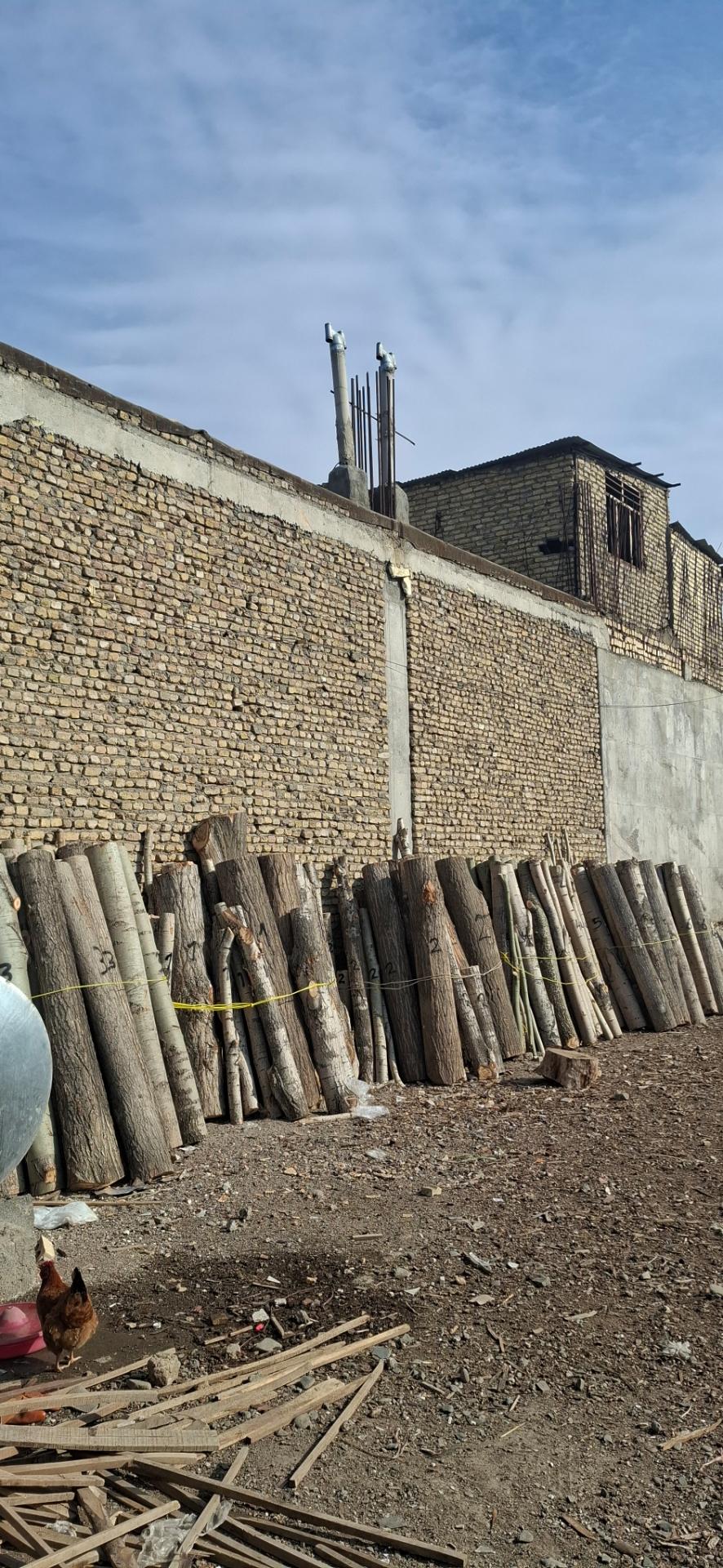 عکس کالای چوب زمانی