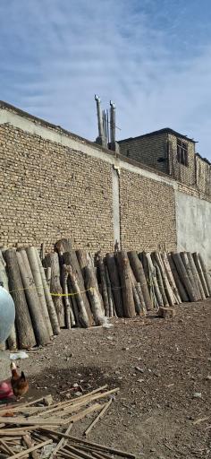 عکس کالای چوب زمانی