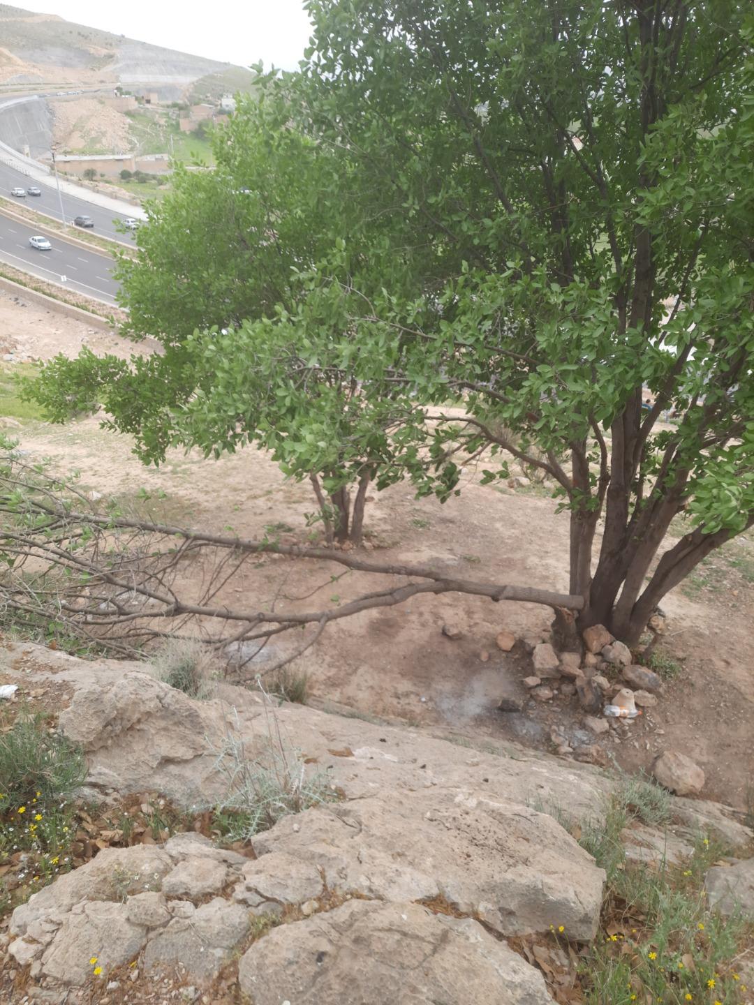 عکس اداره کل منابع طبیعی و آبخیزداری فارس