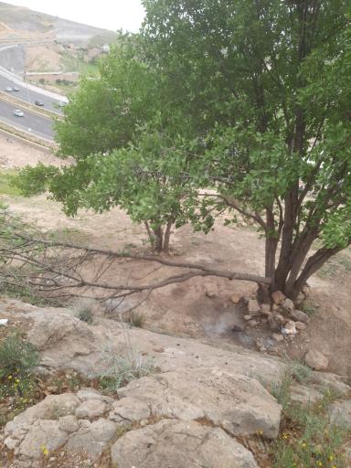 عکس اداره کل منابع طبیعی و آبخیزداری فارس