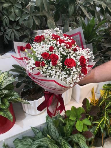 عکس گل یاس (گل روز)