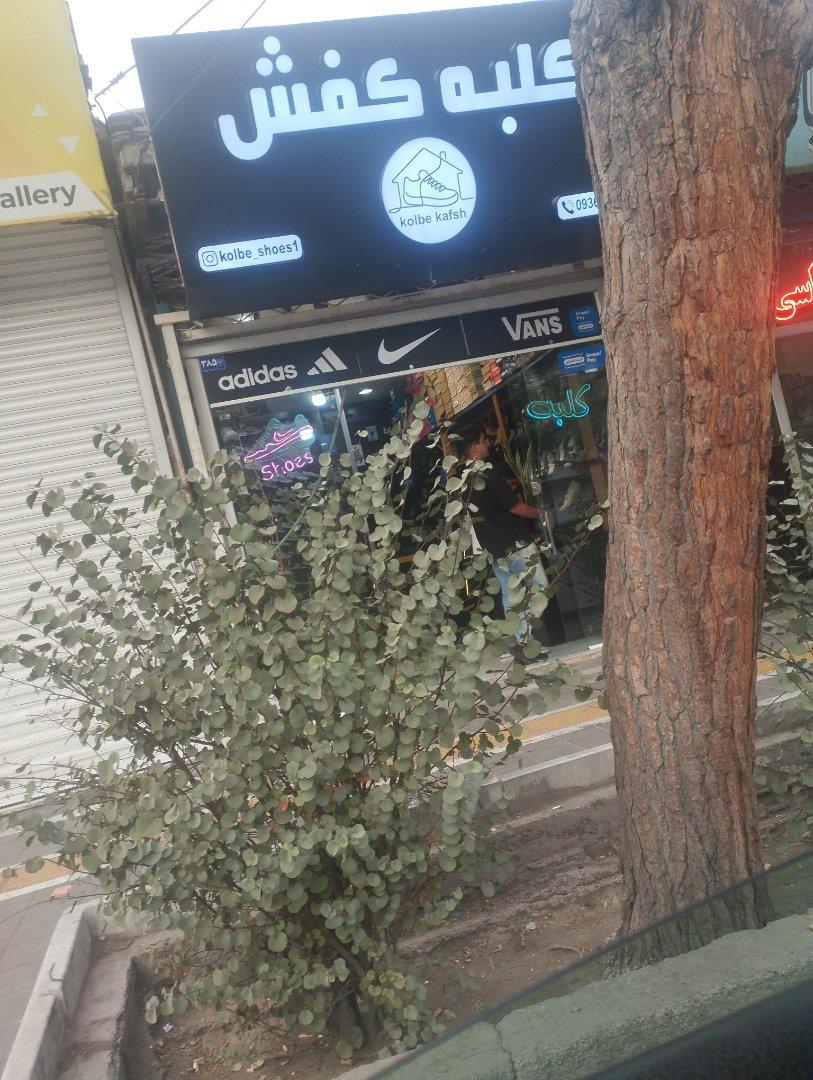 عکس کلبه کفش