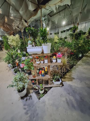 عکس گلسرای بیشه