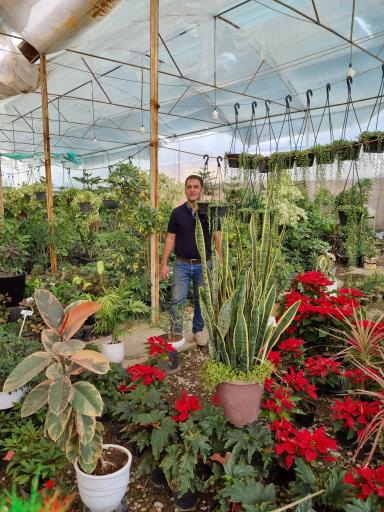 عکس گلسرای بیشه