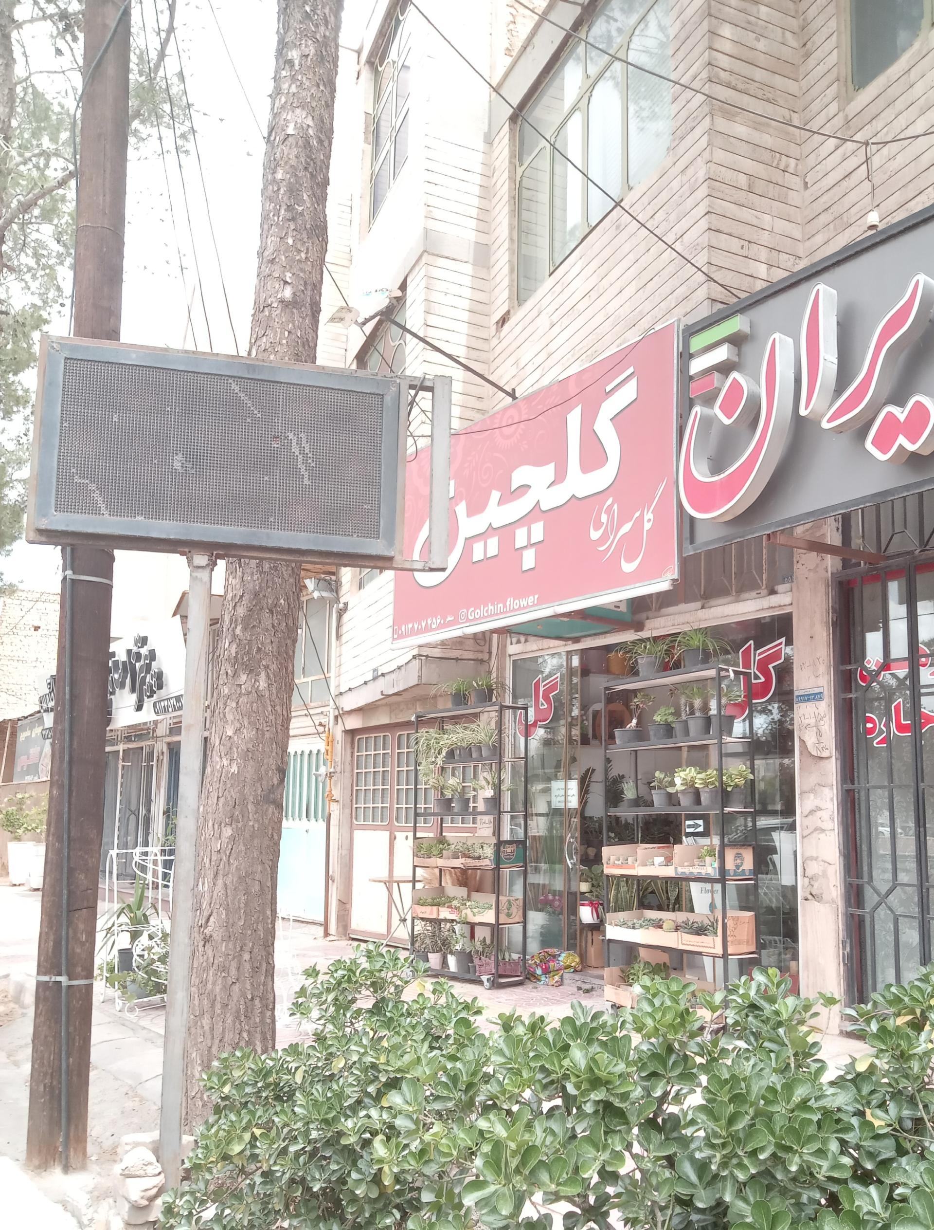 عکس گل سرای گلچین