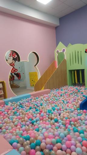 عکس خانه بازی میکی