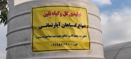 عکس تولیدی گل و گیاه نلین (گلخانه فدک)