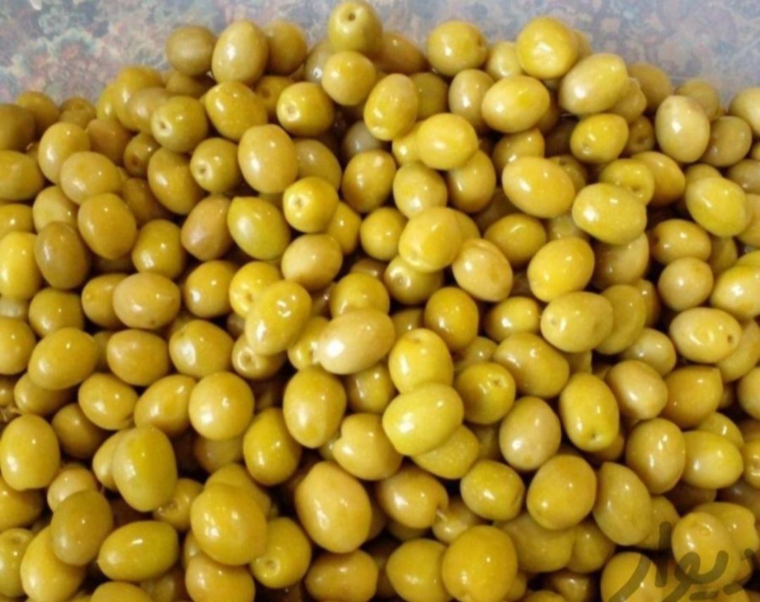 عکس زيتون آنا