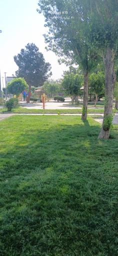 عکس پارک اندیشه زرافه 