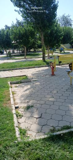 عکس پارک اندیشه زرافه 