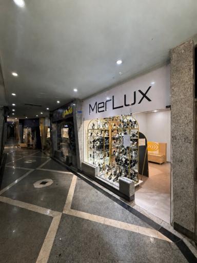کیف و کفش MerLux