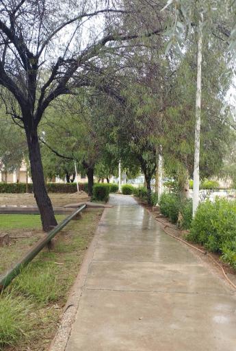 عکس دانشگاه نفت اهواز