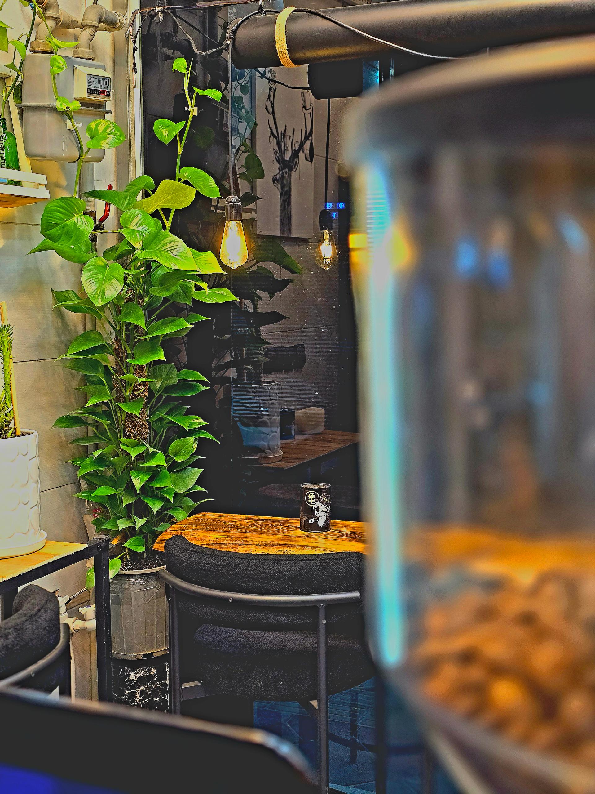 عکس کافه ورونا