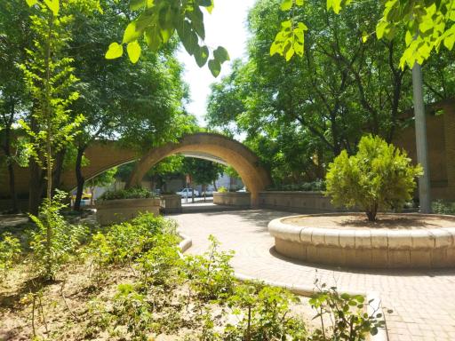 عکس بوستان گل محمدی