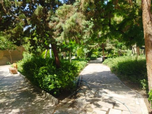 عکس بوستان گل محمدی