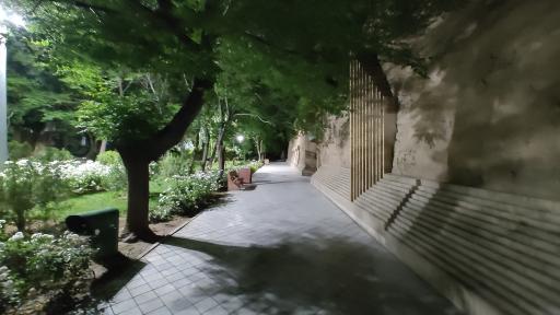 عکس بوستان گل محمدی