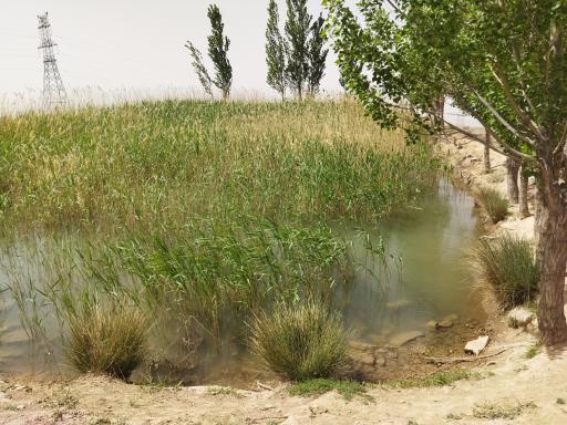 عکس مزدآوند