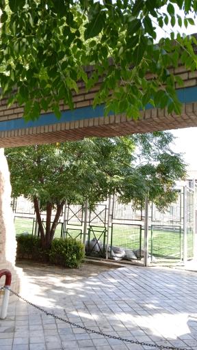 عکس بوستان گل محمدی