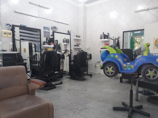 عکس پیرایش بیست