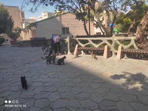 پارک باغ امامی