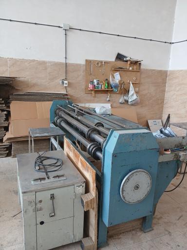 عکس کارتن سازی پردیس