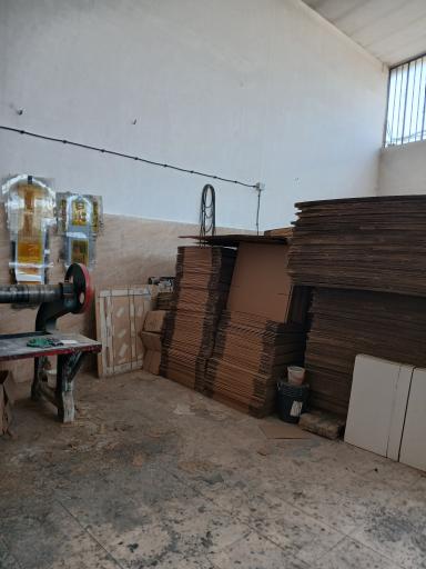 عکس کارتن سازی پردیس