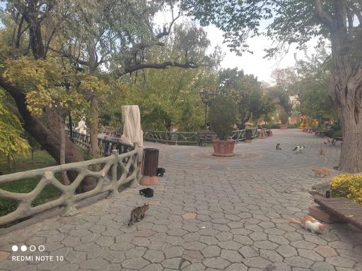 عکس پارک باغ امامی